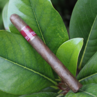 Mitchellero Sporty Cigar - 1 Single